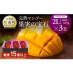 ショッピングふるさと納税 マンゴー ふるさと納税 マンゴー 宮崎県 川南町  令和8年発送 宮崎県産完熟マンゴー「果実の宝石」　2L×3玉 果物 フルーツ マンゴー 宮崎県産 みやざきマンゴー 先行予…