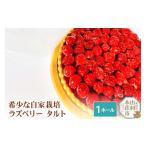ケーキ カステラ タルト ラズベリータルト