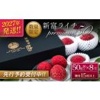 果物類 希少 新富ライチpremium50