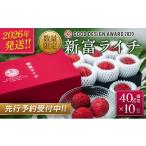 ふるさと納税 果物類 宮崎県 新富町 ［2026年発送］先行予約 希少 国産 新富ライチ 40g前後×10玉 国産 ブランド フルーツ 果物 贈答品 B120-26