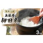 ふるさと納税 米 コシヒカリ 石川県 能登町 復興支援 令和7年度産 奥能登柳田米Eこしひかり 3kg 先行受付