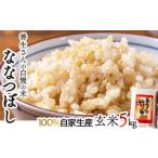 ふるさと納税 玄米 北