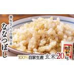 ふるさと納税 玄米 北