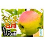 ふるさと納税 りんご 群馬県 沼田市 《11月中旬以降発送》先行予約 果実の里 原田農園 ぐんま名月 1箱 6玉入り