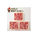 牛肉 豊後牛 切り落とし 合計900g