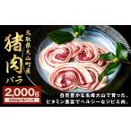 ふるさと納税 猪肉 鳥取県 大山町 GB-08 猪肉 バラ 2kg(250g×8パック)
