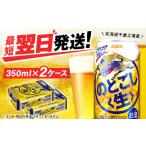 ふるさと納税 ビール 北海道 千歳市 キリンのどごし 生 北海道千歳工場産 350ml 2ケース(48本)