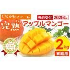 ショッピングふるさと納税 マンゴー ふるさと納税 マンゴー 沖縄県 八重瀬町  先行受付 2026年発送 しらかわファームの家庭用アップルマンゴー約2kg - 先行予約 沖縄県産 産地直送 南国フルーツ …