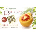 果物類 キウイ レインボーレッド プレミアムサイズ 6個入