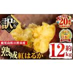 ふるさと納税 野菜類 サツマイモ 鹿児島県 日置市 No.560-B 訳あり・不揃い 鹿児島県日置市産さつまいも 熟成紅はるか(約12kg) 国産 九州産 サツマイモ さつま…