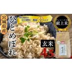 ふるさと納税 玄米 宮