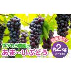 果物類 ぶどう 期間 田舎の完熟ふどう2kg前後