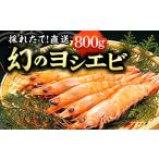エビ 幻のヨシエビ 約400gブロック×2