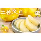 ふるさと納税 果物類 みかん 高知県 須崎市 秀品 文旦 5kg 早期予約 2025年2月より順次発送 産地直送 安和 文旦 贈答 用 高知県産 柑橘 フルーツ ぶんたん 果…