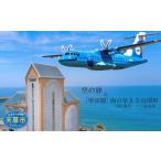 お食事券 S035-006_空の旅と 望洋閣