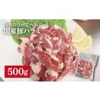 豚肉 味付 ホルモン専門店の豚ハラミ 500g