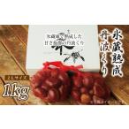 fu.... налог фрукты вид каштан Kyoto (столичный округ) столица Tanba блок Kyoto * столица Tanba блок производство каштан лед магазин ..* Tanba каштан 1kg 012IW002L