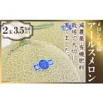 ショッピングメロン ふるさと納税 長崎県 雲仙市 【先行受付】【メロンの王様】アールスメロン 2玉（3.5キロ以上） ／ 長崎県農産品流通合同会社 ／ 長崎県 雲仙市 [item0085] ／ …