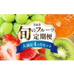 果物の詰合せ さぬき旬のフルーツ大満足