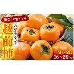ふるさと納税 果物類 柿 福井県 あわら市  先行予約 越前柿 16〜20玉入 M〜2L 《種なしで食べやすく甘い 》 あわらブランド ／ 期間限定 果物 フルーツ 産地直…