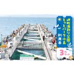 入場券 優待券 海釣り公園 とっとパーク小島利用券