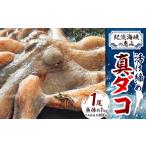 fu.... налог осьминог Osaka (столичный округ) . блок .. затянуть .. море .. ..* Izumi ...... рыба | подлинный dako1 хвост _ осьминог подлинный dako... подлинный ... затянуть морепродукты морепродукты seafood гарнир...