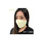 絹マスク 1枚