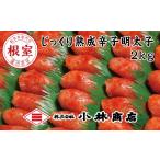 魚貝類 明太子 B-16040 切れ辛子明太子2kg