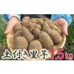 人参 大根 他根菜 予定 土付き 里芋 約1.5kg
