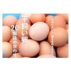 fu.... налог яйцо ( курица,.. курица и т.п. ) Shimane море . блок flat .. яйцо набор 20 шт. комплект 