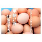 fu.... налог яйцо ( курица,.. курица и т.п. ) Shimane море . блок flat .. яйцо набор 40 шт. комплект 