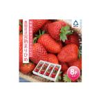 ショッピングふるさと納税 いちご ふるさと納税 いちご 和歌山県 御坊市 和歌山オリジナルいちご「完熟まりひめ」たっぷり8パック《先行予約》2026年3月下旬頃から順次発送 配送不可地域：北海…