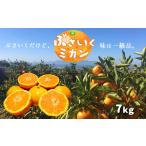 果物類 みかん ぶさいくミカン 7kg