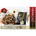 乾物 九頭竜まいたけとうま煮 ごはんの素など加工品セット