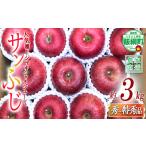 りんご 蜜入り サンふじ 秀 特秀 3kg