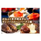 ふるさと納税 肉 ハンバーグ 福岡県 飯塚市 かねふく辛子明太子&デミソースのハンバーグ2種セット A5-301 惣菜 めんたいこ 明太子 ハンバーグ 2種類ハンバ…