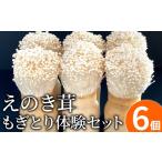 fu.... налог овощи вид .. . Fukuoka префектура большой дерево блок .. ...... body . комплект BF03
