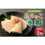 野菜類 A91 たけのこ 水煮 カットハーフ 200g×5パック