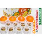 ふるさと納税 果物の詰合せ 愛媛県 西条市 愛媛県西条市産 紅まどんな キウイ 詰め合わせ レインボーレッドキウイと紅まどんなのセット 先行予約・11月下旬〜1…