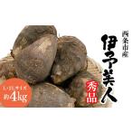 人参 大根 他根菜 里芋 伊予美人 秀品 約4kg