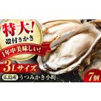 ふるさと納税 牡蠣 生牡蠣 広島県 福山市 貝類 冷蔵 うつみかき小町殻付き 3Lサイズ×7個 広島県福山市/カネト海苔水産株式会社 牡蠣 かき 殻付 焼き牡蠣 う…