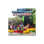 体験チケット 1名様体験コース 比謝川のマングローブに生息…