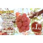 ショッピングふるさと納税 シャインマスカット ふるさと納税 ぶどう マスカット 長野県 長野市 J1504シャインマスカット・クイーンニーナ詰合せ1kg 2026年9月下旬以降の出荷分 （本気農場いけだ）