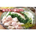 モツ鍋 九州醤油スープ 和牛もつ鍋セット