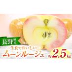 ふるさと納税 りんご 長野県 伊那市 りんご 赤果肉 期間 ・ 数量限定 生食で美味しい「 ムーンルージュ 」（ りんご ）約2.5kg | 果物 フルーツ りんご ムーン…