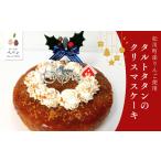 ケーキ カステラ タルト PN08 タルトタタンのクリスマスケ…