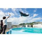 体験チケット トレーナー体験1名 3歳以上小学生