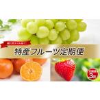 果物類 みかん フルーツ 定期便 年 3回 さぬきひめ