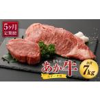 牛肉 サーロイン 定期便5ヶ月 熊本産 ステーキ用