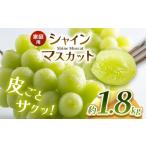 ふるさと納税 ぶどう マスカット 長野県 塩尻市 2025年 先行予約 ご家庭用 数量限定 農家さん応援企画 シャインマスカット 1.8kg 2025年9月下旬〜順次発送予…